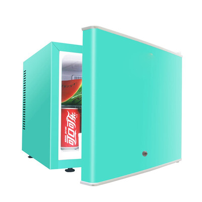 

Mini Fridge for Cold Storage with Thermoelectric Plastic Door 20L