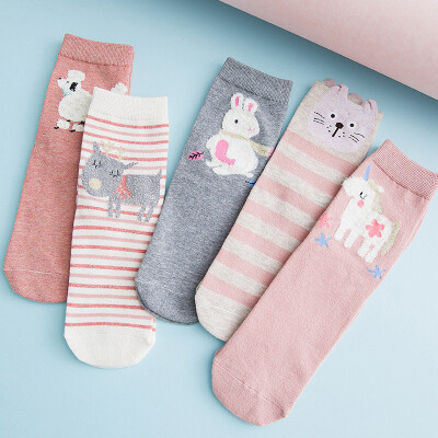 

Ladies cartoon socks cotton Japanese cute animal pattern in stockings 5 pairs