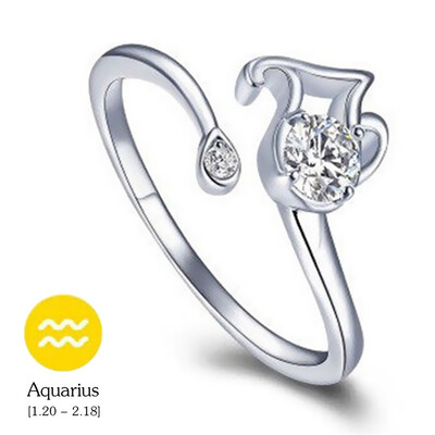 

12 Constellations Exquisite Glistening Retro Lovers Ring Women Ancient Elegant Attractive Zinc Alloy Finger Ring