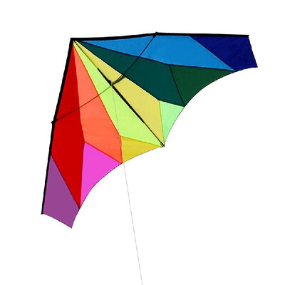 

Colorful Huge Delta Kite Outdoor Sport Single Line Flying Kite with 30m Flying Line for Kids Adults