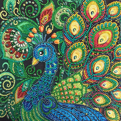

Special Shaped Diamond Painting DIY 5D Partial Drill Cross Stitch Kits Crystal Rhinestone Arts 3040 NO4