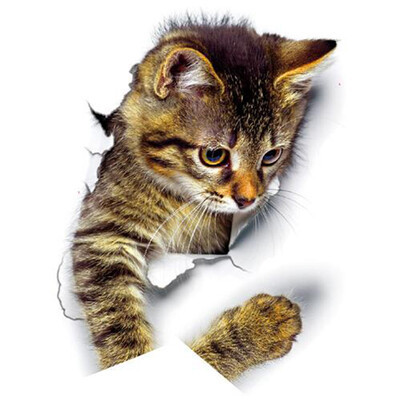 

3D Cats Wall Sticker Hole View Bathroom Living Room Decoration Home Decor