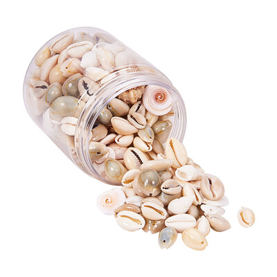 

PH PANDAHALL 1 Box About 150-200Pcs Mixed Style Cowrie Cowry Seashells Oval Spiral Turritella Screw Shells