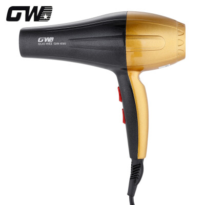 

Guowei GW - 690 Professional Salon 3000W Electric Hair Blow Dryer