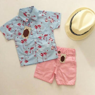 

US Toddler Kids Baby Boy Flamingo Clothes T-Shirt Tops Short Pants Formal Outfit