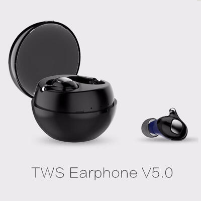 

Gtcoupe TWS Bluetooth 50 Earphones In-Ear Wireless Earbuds Mini IPX5 BT Sport Headphones with Charging Box