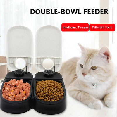 

Pawise Automatic Pet Feeder Timing Feeder Two Meals Double Bowl Pet Dry Food Dispenser Dish Bowl Feed Bowl 48 Hours Timer for Dog