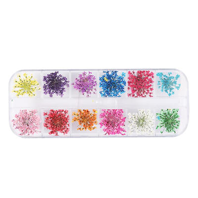 

1 Box Dried Flowers Nail Decoration Natural Floral Stickers Nail Art Decals
