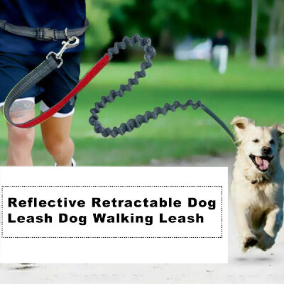 

Pet Leashes Dog Leash Reflective Retractable Dog Walking Leash with Waist Belt Dog Training Leash