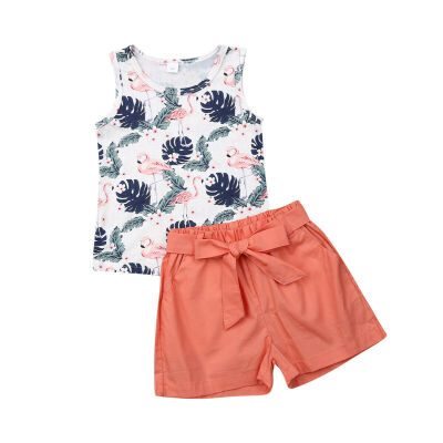 

Toddler Baby Girls Clothes Summer Sleeveless TopsShort Pants Kids Outfits 2PCS