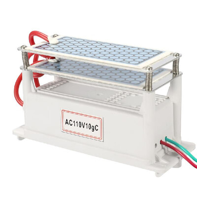 

Portable 10gh Ceramic Ozone Generator Double Integrated Plate Ozonizer Water Air Purifier For Chemical Factory