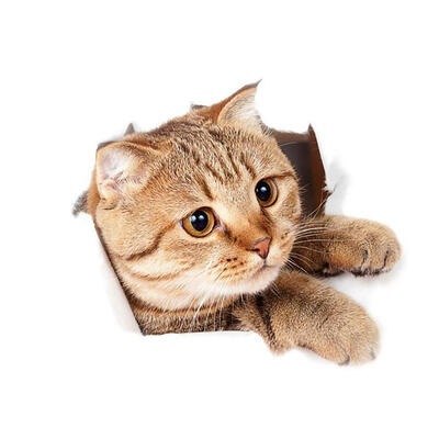 

3D Cat Animal PVC Wall Sticker Waterproof Self-adhesive Removable Decals