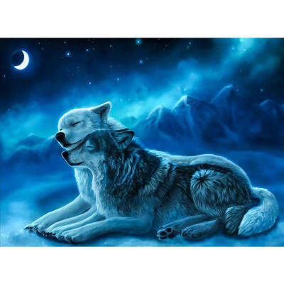 

5D DIY Full Drill Diamond Painting 2 Wolves Cross Stitch Embroidery Crafts