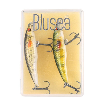 

Blusea 2PCS Bionic Hard Fishing Bait Set Lifelike Minnow Swimbait Kit Fishing Tackle
