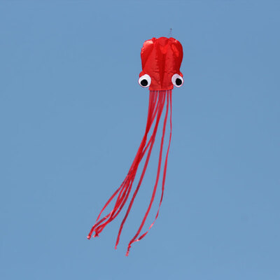

Ktaxon New Beautiful Large Easy Flyer Kite for Kids - Red Mollusc octopus