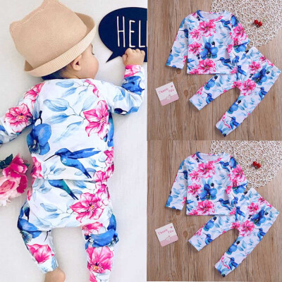 

Toddler Baby Girl Long Sleeves Flowers Print TopPants Outfit Kids Clothes Sets