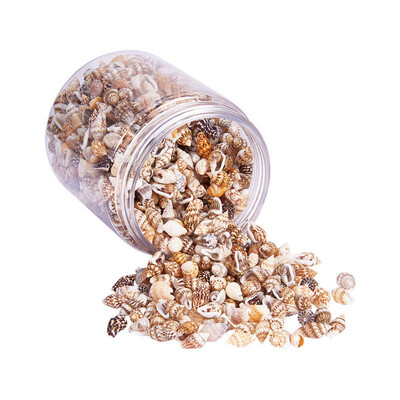

PH PANDAHALL 13001500pcsbox No Hole Spiral Shell BeadsLemon Chiffon color