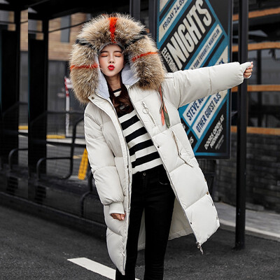 

Korean Version Womens Down &Parkas Cotton JacketsLarge Fur Collar With Hoody Plus Size