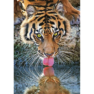 

5D DIY Full Drill Diamond Painting Animal Landscape Cross Stitch Home Decor