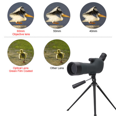 

Outdoor 20-60X Zoom Spotting Scope Green Film Coated Optical Lens with Tripod Carrying Bag for Birdwatching Hunting Camping Moutai
