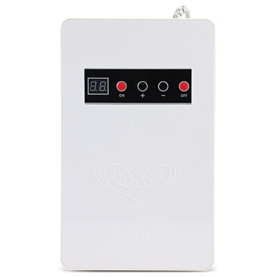 

LR - Z128 Multifunctional Ozone Food Fruit Sterilization Detoxification Machine