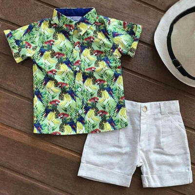 

2PCS Summer Toddler Kids Baby Boy Clothes T-shirt TopsShort Pants Outfit Set