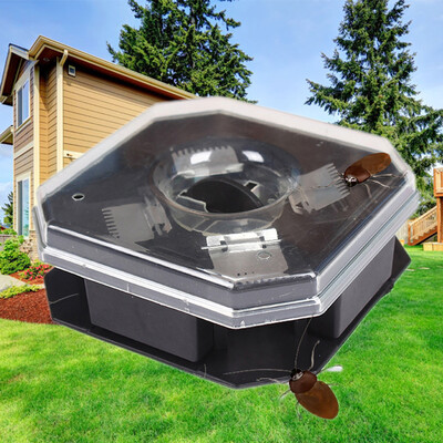 

Safe Kitchen Pollution Automatic Control Cockroach Catcher Trap Killer