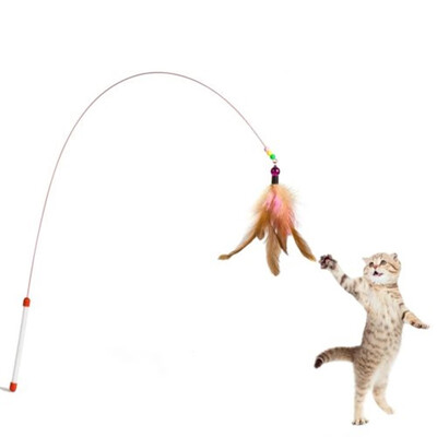 

Kitten Pet Teaser Play Rod Feather Interactive Fun Toy Wire Wand Cat Bird