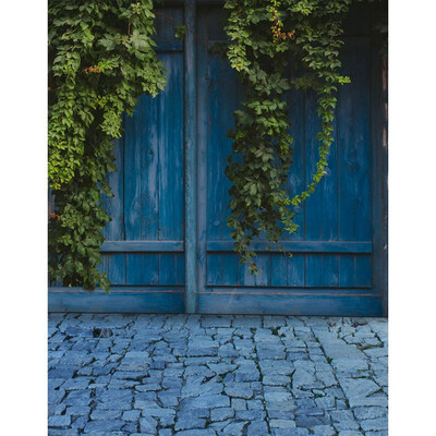 

Blue Door Green Tree Photo Backdrop 57FT Vinyl Fabric Cloth Digital Printing Birthday Photo Background s-2198