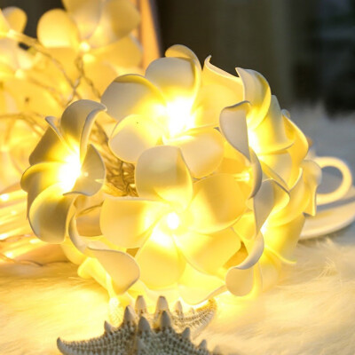 

Siaonvr Vintage Frangipani Flower LED Fairy Light String Battery Home Party Wedding