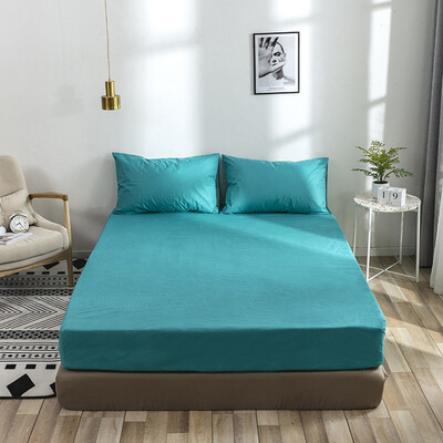 

Waterproof Mattress Encasement Cover Bed Bug Proof Dust Mite Proof Mattress Protector Hypoallergenic Breathable Bed Mattress Cover