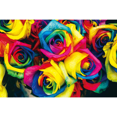 

5D DIY Full Drill Diamond Painting Colorful Flowers Cross Stitch Embroidery