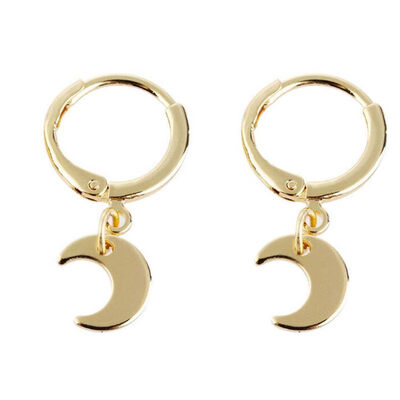 

Exquisite Meniscus Pendant Loop Earrings Dangle Women Jewelry Charm Gift Decor