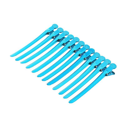 

12PCS Hair Clips Metal Fashion Hair Clip with Holes Duckbill Clips Anti-slip Hair Styling Salon Hairdressing Tool