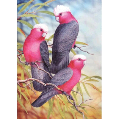 

5D DIY Full Drill Diamond Painting Parrots Cross Stitch Embroidery Mosaic