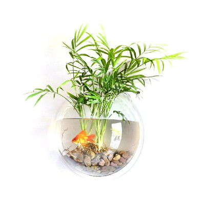 

Home Decoration Wall Mount Fish Tanks Goldfish Bowl Acrylic Hanging Aquariums Flowerpot Flower Vase
