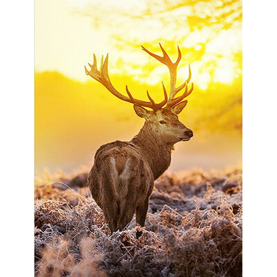

Diamond Embroidery Animal Cross Stitch Deer Full Square 5D DIY Diamond Painting Full Display Rhinestones Decor Home Gift