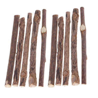 

Cat Cleaning Teeth Molar Sticks Silvervine Actinidia Toothpaste Cat Snacks