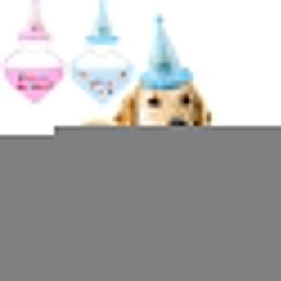

Cartoon Design Dog Hat Jumpsuit SmallPet Cat Apparel Puppy Birthday Costume