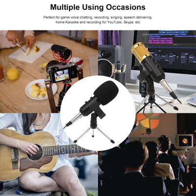 

USB Condenser Microphone USB Record Mic Plug & Play for Home Studio Voice Chat Recording Meeting Computer Microphone