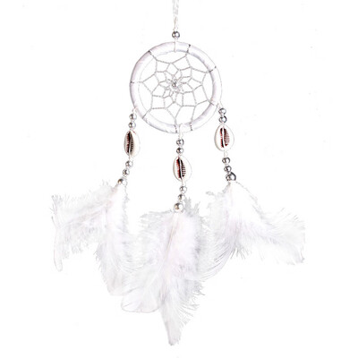 

Monocyclic Teeth Dream Catcher Wall Hanging Home Car Decor Craft