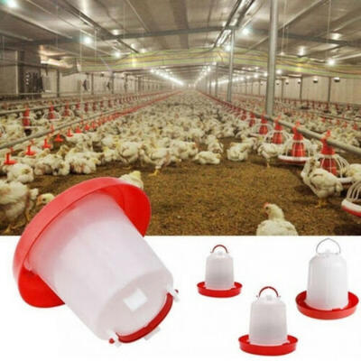 

Chicken Poultry Feeder Drinker Chick Hen Quail Bantam Food Water 15254L