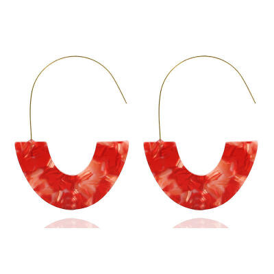 

Hot Sale Fashion Leopard Print Big Hook Earrings Special Design Bohemian Semicircle Resin Dangle Drop Earrings For Women Brincos