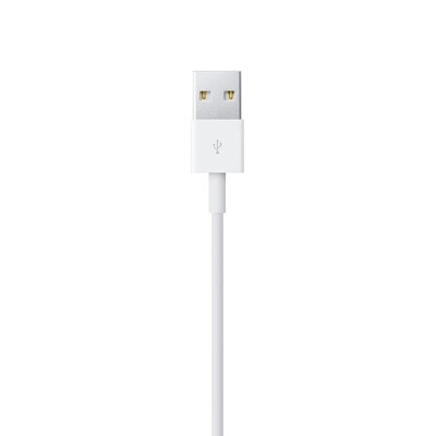 

Original Apple Lightning to USB Cable 1 Meter Charging Sync for iPhone 7 7 Plus 8 8 Plus X iPad iPod