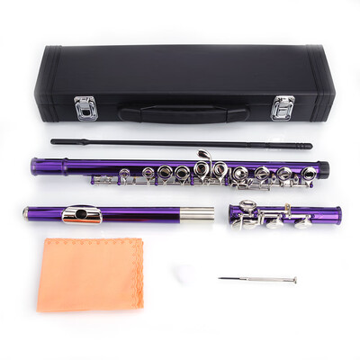 

Ktaxon Cupronickel C 16 Closed Holes Concert Band Flute for Student Purple