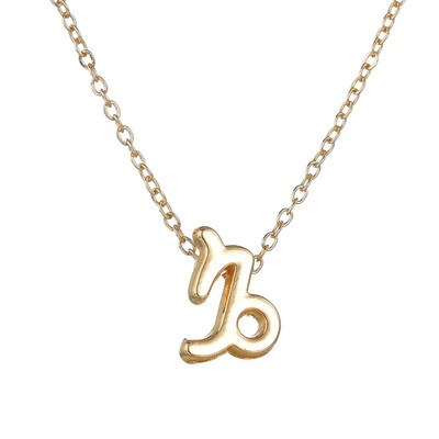 

12 Horoscope Aries Pisces Leo Necklace Gold Silver Color 12 Constellation Necklaces Pendants Choker Necklaces For Women Jewelry