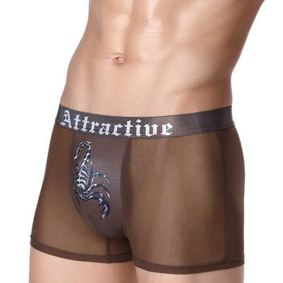 

Mens Ice Silk Boxers Sexy Ultra Slim Mesh Underwear