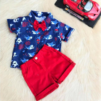

Newborn Kid Baby Boys Summer Tops T-shirt Animal Pants Shorts Outfits 2pcs Set