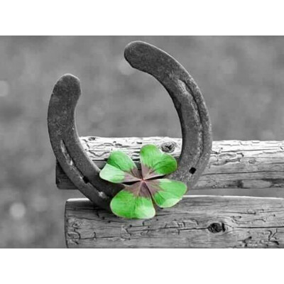 

Kirin Diamond Embroidery Four-leaf Clover Full Display 5D DIY Cross Stitch Rhinestones Drill Diamond Painting Decor Home