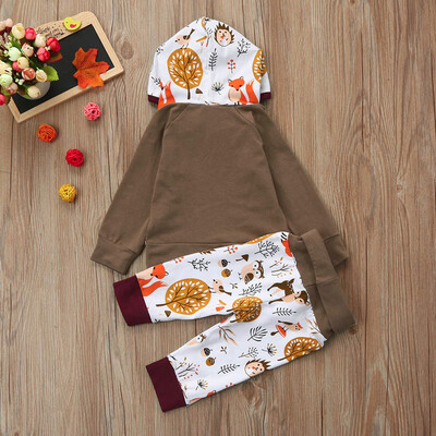 

Cute Newborn Infant Baby Girl Boy Cartoon Hoodie TopsPants Outfits Clothes Set